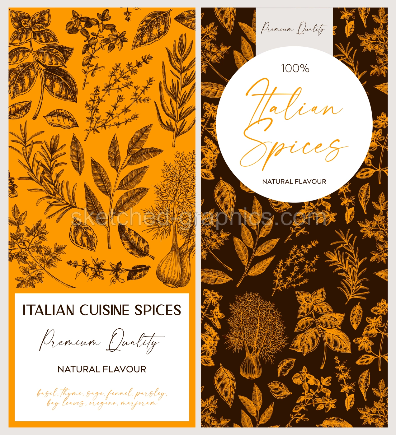 Italian spice label templates. Basil, mint, rosemary, parsley, sage, bay leaf, fennel  sketches. Herbs hand-drawn vectot illustration. Vintage banner designs.. NOT AI generated Illustration